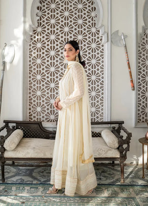 Antique White Dress 106 Pret – White Net Outfit