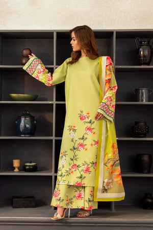 Apple Green Cambric Lawn 3Pc Unstitched