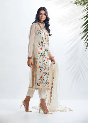 D-03 Dureshahwar Pret – dureshahwar online shopping