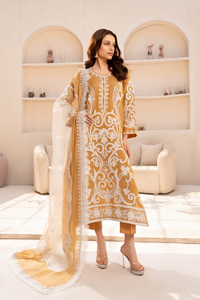 Woman wearing an embroidered organza 3 piece outfit from the Anayra Amal collection, featured at Buraq Store