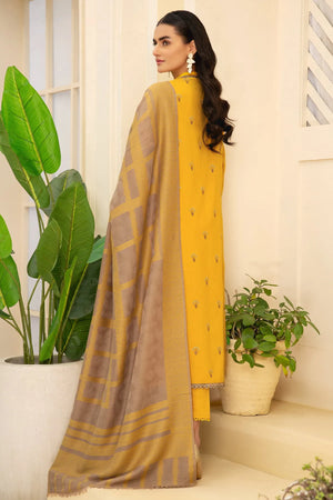Graceful Dhanak 3Pc Outfit