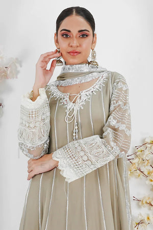 Lawn Chiffon Frock Design Pret 3 PCs