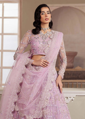 Organza lehenga designs for girls styled elegantly by Buraqstore