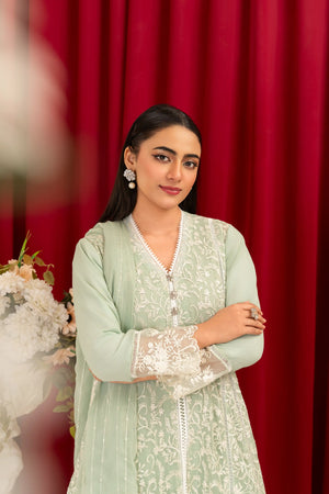 Mint Green Chiffon Pret 4Pcs – embroidery sale online pakistan