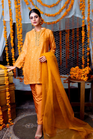 Pumpkin Spice Silk Pret 2 PCs Affordable Cotton Dress