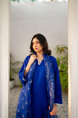 woman posing in royal blue dress by Buraqstore elegant ethnic outfit