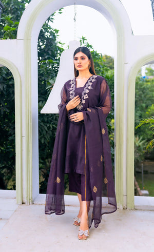 Royal Orchid Net Pret 2 PCs Stylish Cotton Dress Design