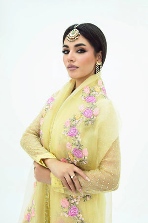 SF-258 Embroidered Organza – Stylish Daman Embroidery | Buraq