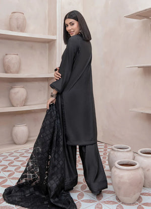 Women wearing black dress pakistani, close-up of the embroidery on the raw silk shirt, Buraqstore
