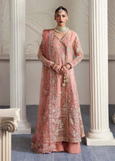 Elza Embroidered Organza Maxi 4 PCs