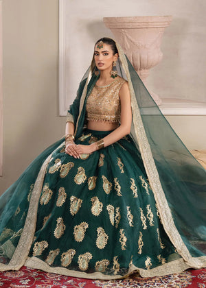 Aurelia Embroidered Net Pret 3 PCs Lehnga pakistan online