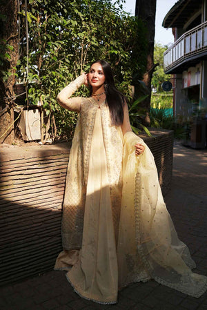 Aya Organza Pret 3 PCs – Traditional Festive Wear