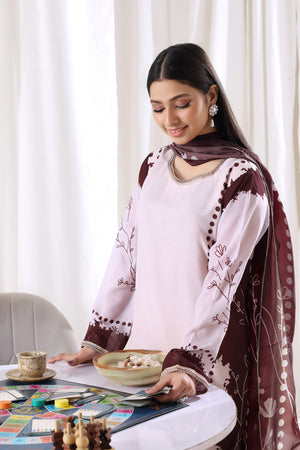 Young woman in Blush Burgundy chiffon pret Buraqstore, perfect women’s outfit