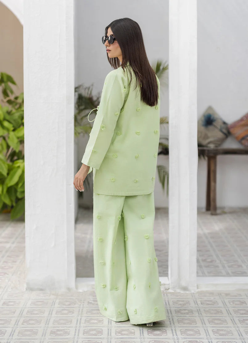 Pistachio Pure Cotton Pret 2 PCs