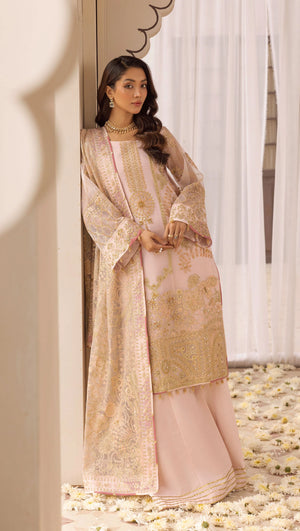 Dur e Fishan D04 Net – Heavy Embroidered Outfit