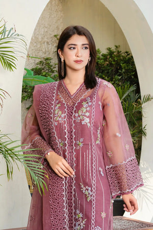 Maya Organza – Classic Dupatta Piece | Buraq