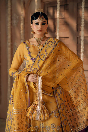 Mayun Embroidered Organza Pret – Elegant Suit Outfit