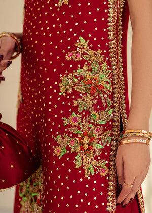 Buraqstore girl posing in elegant red colour dress tissue silk with soft sheen finish