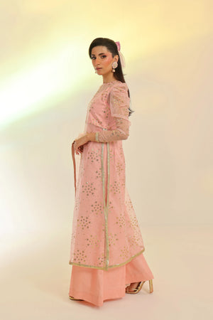woman posing in pink embroidered dress formal buraqstore