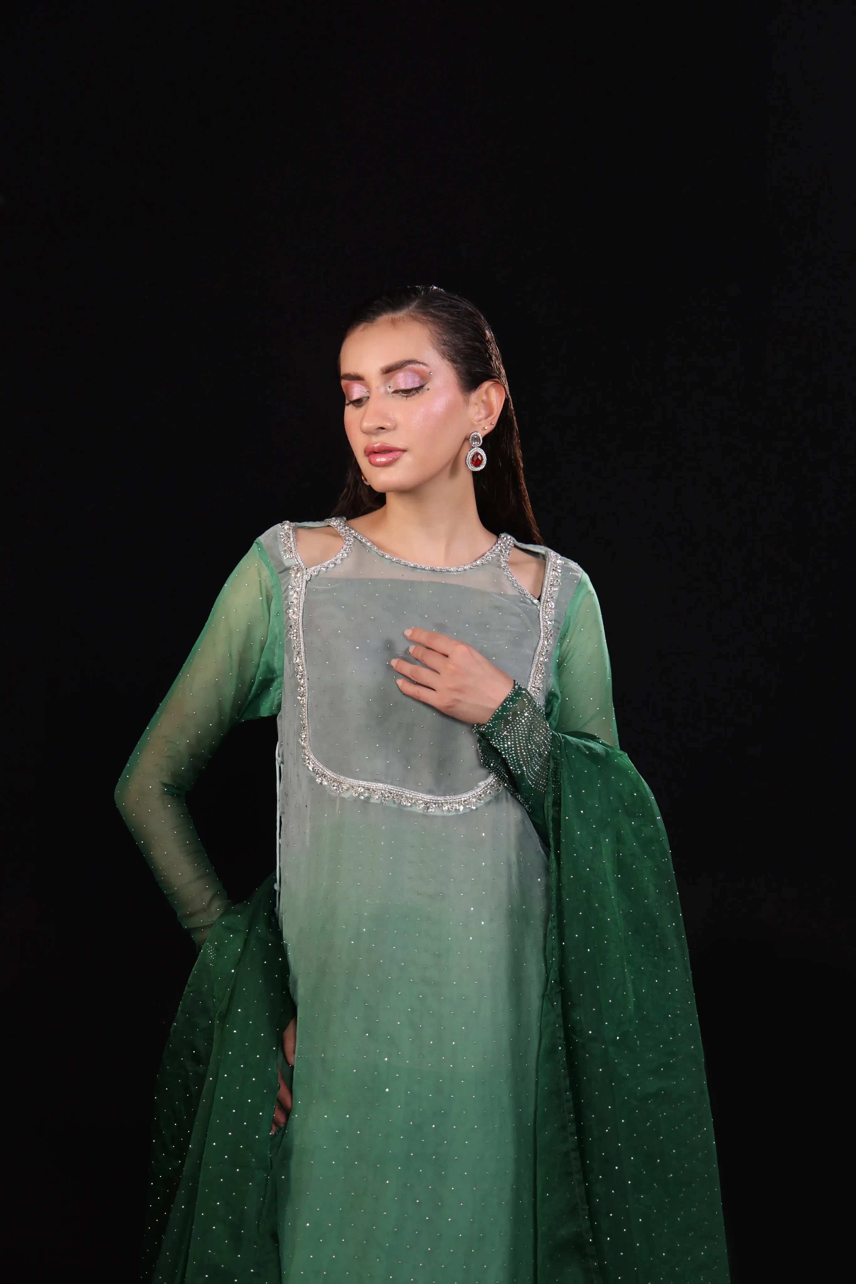 The Trendsetter Chiffon Embroidered 4Pcs Luxury Festive Collection