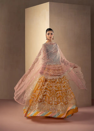 Model wearing multi color dress as a bold festive outfit, shop the embroidered sharara 3-piece set at Buraqstore