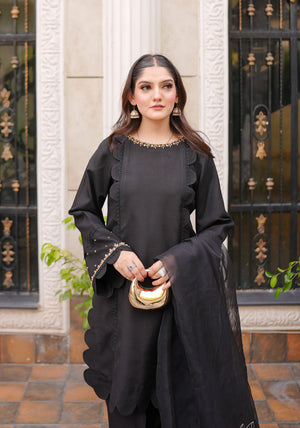 raven embroidered silk pret cotton silk dress 3pcs