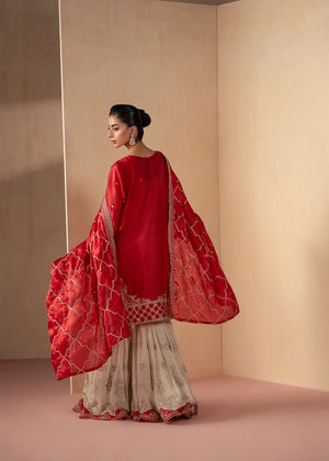 Woman wearing red colour dress pakistani, close-up of the embroidery on the silk shirt, Buraqstore
