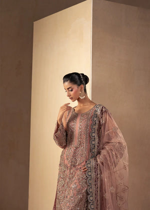 Woman wearing tea pink color dress, close-up of the embroidery and embellishment on the shirt, Buraqstore
